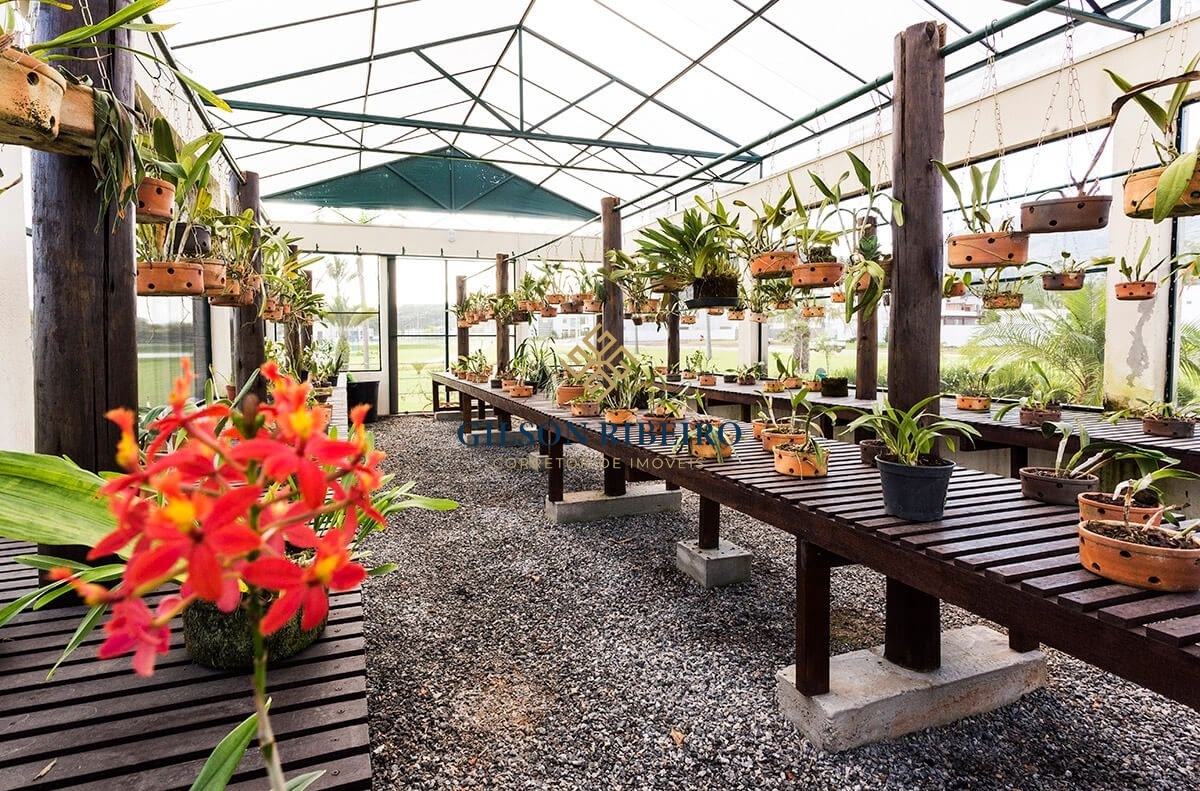 Casa, 4 quartos, 270 m² - Foto 30